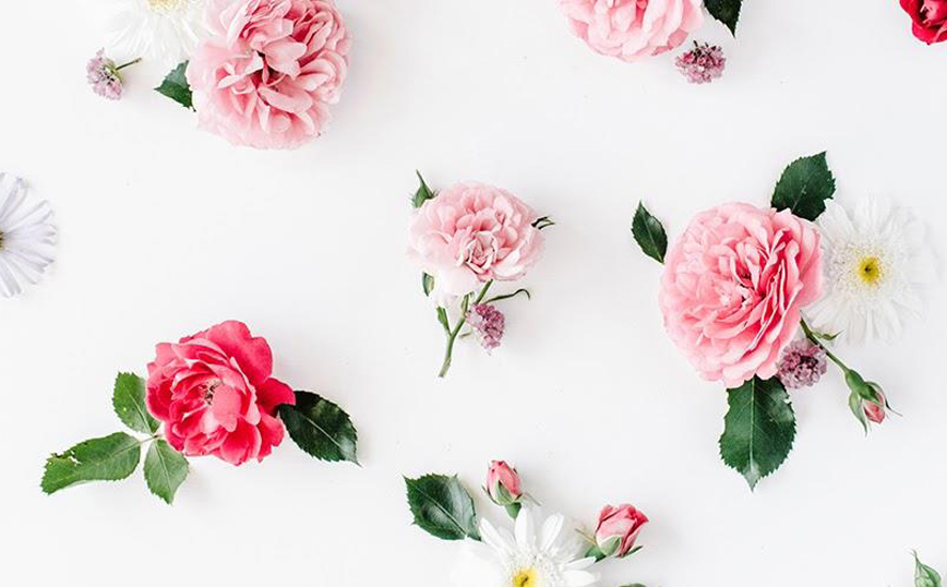 10 λόγοι για να έχετε φυτά και λουλούδια στο σπίτι σας