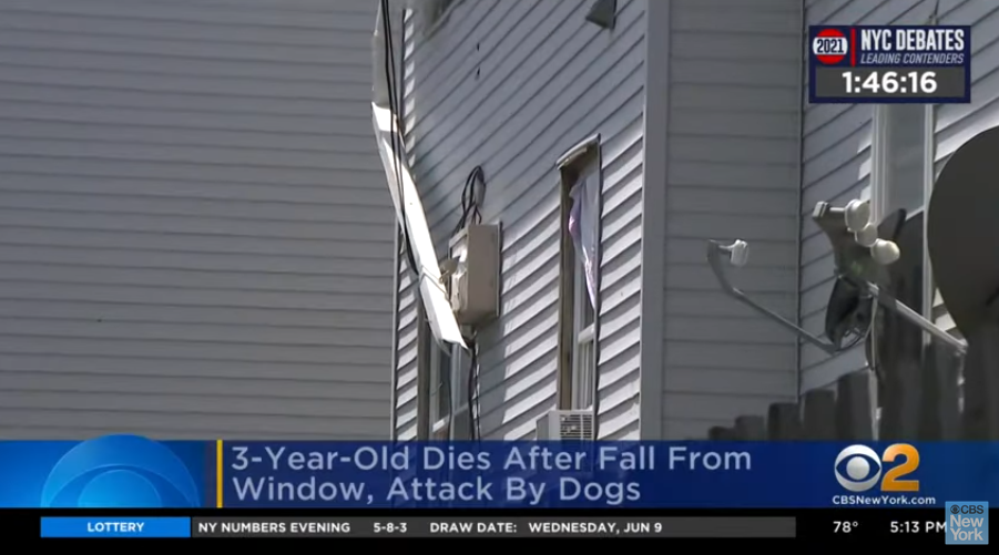 Φρικτός θάνατος για 3χρονο: Έπεσε από παράθυρο και τον κατασπάραξαν σκυλιά