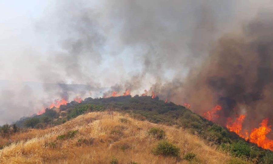 Κύπρος: Τέσσερις νεκροί από τη μεγάλη φωτιά στη Λεμεσό