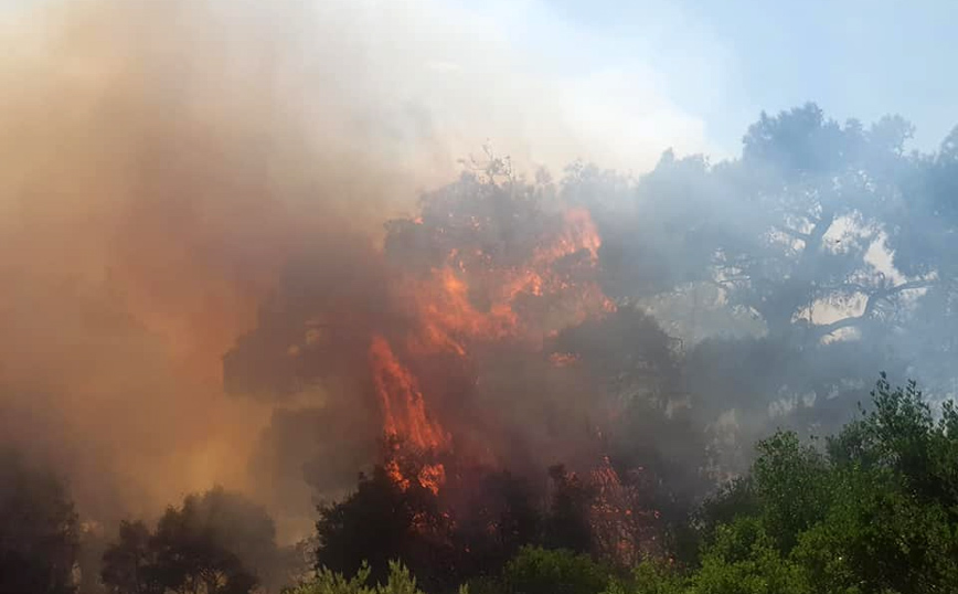 Mεγάλη φωτιά τώρα στον Έβρο – Εκκενώνεται το χωριό Λευκίμμη