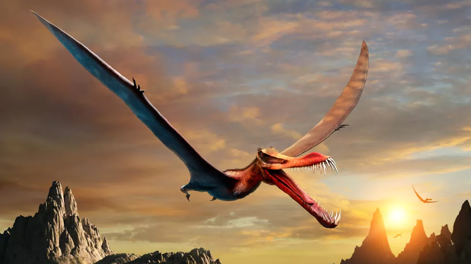 Ο ιπτάμενος «δράκος» της Αυστραλίας: Ανακαλύφθηκε απολίθωμα πτερόσαυρου που κυριαρχούσε πριν από 110 εκατ. χρόνια