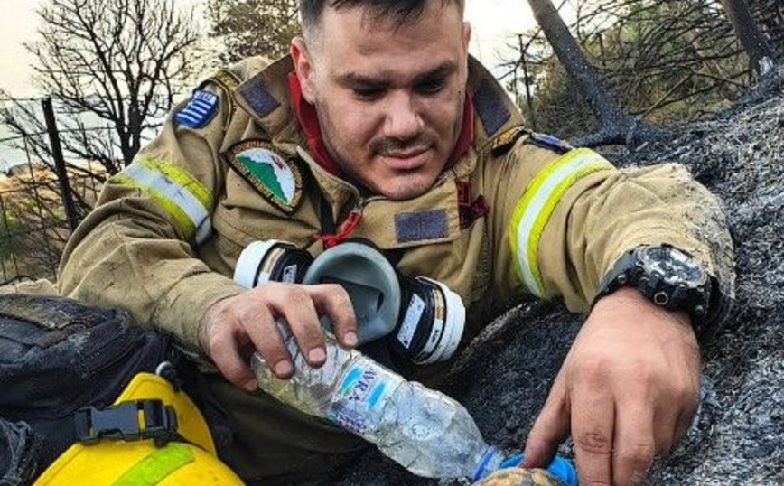 Ο πυροσβέστης που έδωσε νερό σε χελώνα συγκίνησε με την πράξη του την Ευρώπη