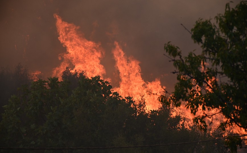 Φωτιά στην Αττική: Εκκένωση σε Άγιο Στέφανο, Καπανδρίτι και Πολυδένδρι αποφάσισε η περιφέρεια