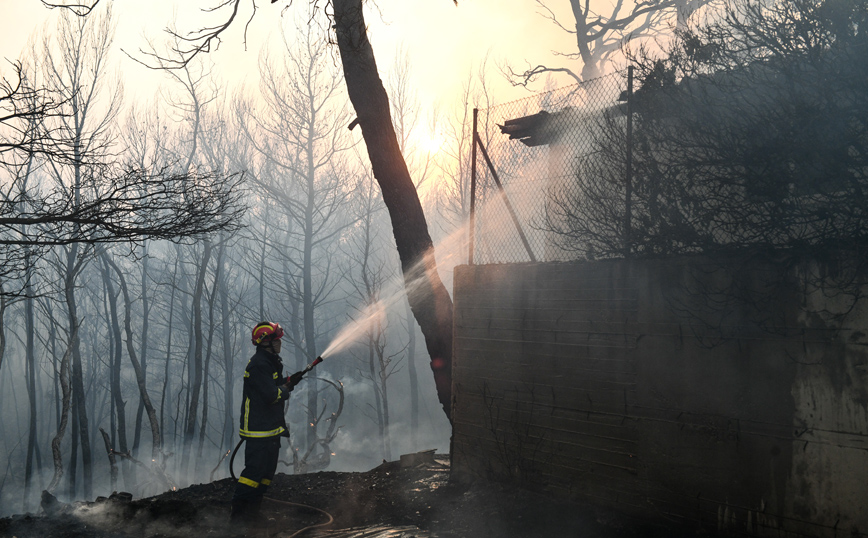 «Νέο κομμάτι δάσους καίγεται τώρα στο Κρυονέρι &#8211; Σωτήρια η παρέμβαση των εθελοντών»