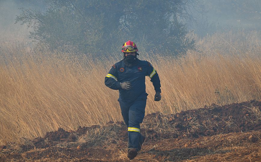 Σε ύφεση η φωτιά στα Βίλια: Συνεχίζουν να επιχειρούν οι πυροσβέστες