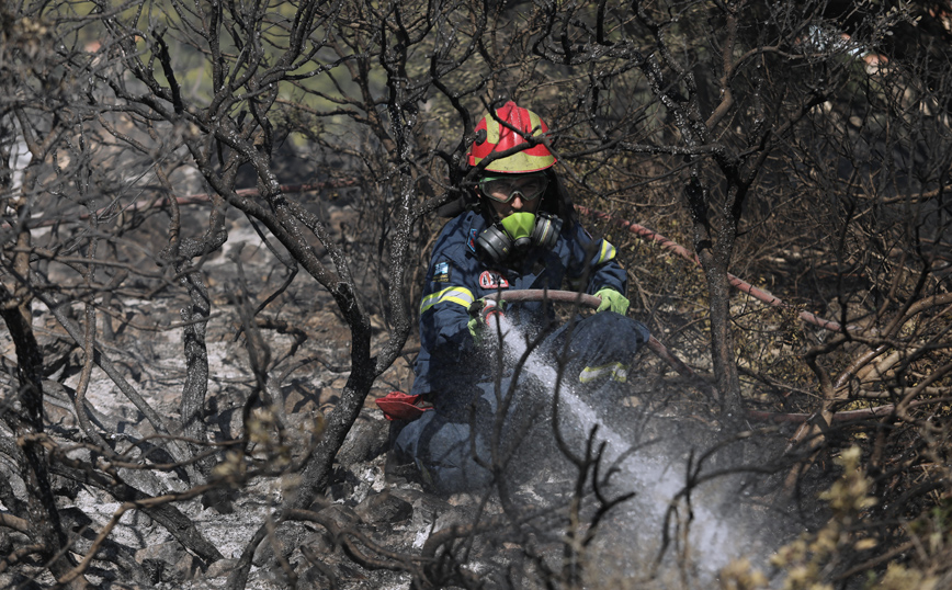 Πολύ υψηλός κίνδυνος πυρκαγιάς σε πέντε περιφέρειες σήμερα Σάββατο 12 Αυγούστου