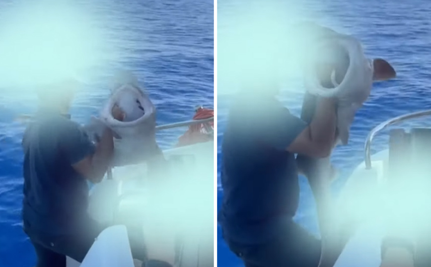 Βίντεο με την κακομεταχείριση καρχαρία προκαλεί σάλο και αντιδράσεις στην Κύπρο