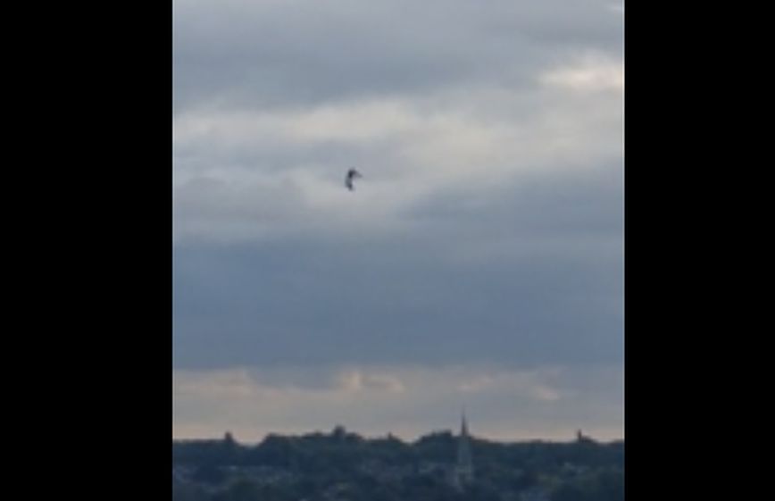 Το βίντεο με το παράξενο ιπτάμενο αντικείμενο που τρέλανε το Reddit &#8211; «Ή UFO είναι ή Dementor από το Χάρι Πότερ»