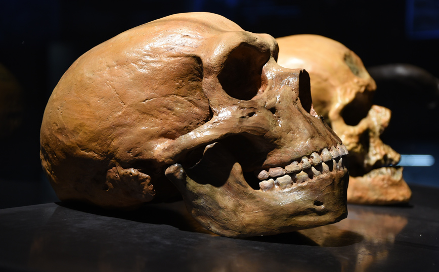 Ερευνητές ανακάλυψαν απολιθωμένα οστά στην Κίνα που ανήκουν σε άγνωστο ανθρώπινο είδος