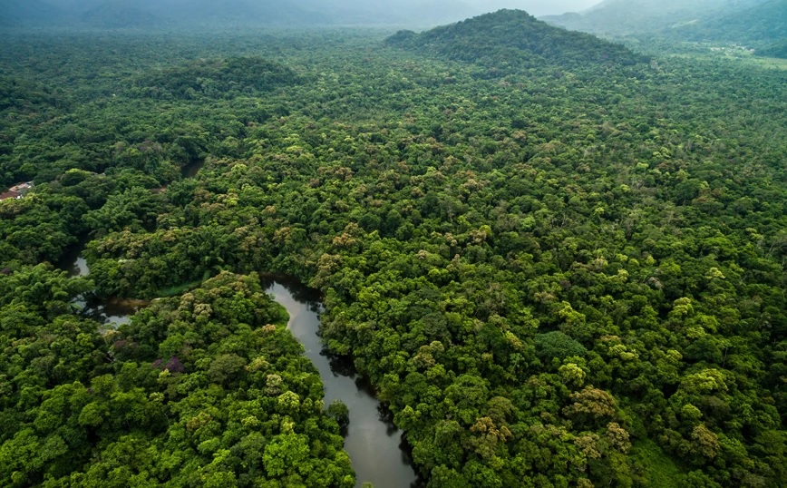 Βραζιλία: Αυξήθηκε κατά 22% η αποψίλωση του Αμαζονίου τον τελευταίο χρόνο