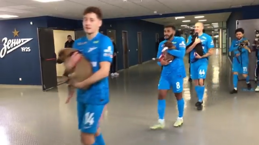 Οι παίκτες της Ζενίτ βγήκαν στο γήπεδο κρατώντας σκύλους αγκαλιά και έγιναν viral
