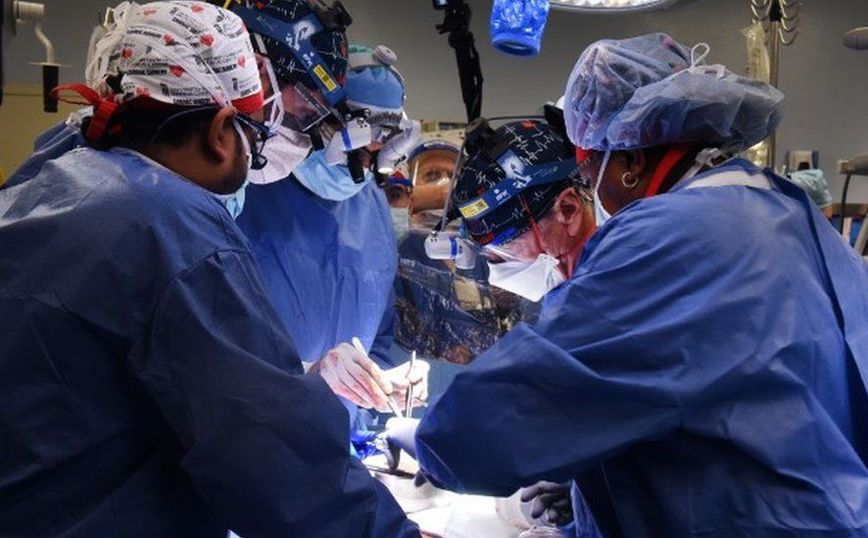 Δεύτερη μεταμόσχευση καρδιάς χοίρου σε άνθρωπο στη Νέα Υόρκη