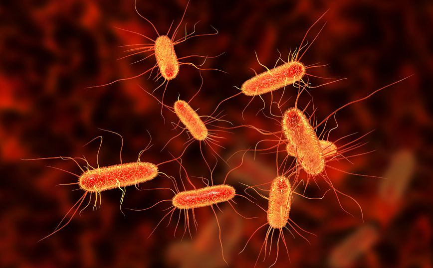Έρευνα: Περισσότεροι οι θάνατοι από βακτηριακές λοιμώξεις παρά από το AIDS &#8211; «Καμπανάκι» για τα αντιβιοτικά