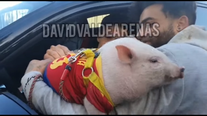 Μπαρτσελόνα: Οπαδός της ομάδας ζήτησε αυτόγραφο πάνω στο γουρούνι του