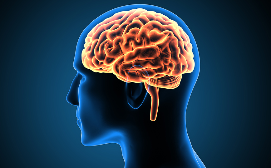 Πότε κατεβάζει «στροφές» ο εγκέφαλος &#8211; Νέα έρευνα αλλάζει τα δεδομένα