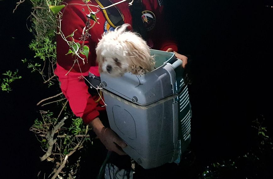 Κέρκυρα: Διασώθηκε σκύλος που έπεσε σε γκρεμό