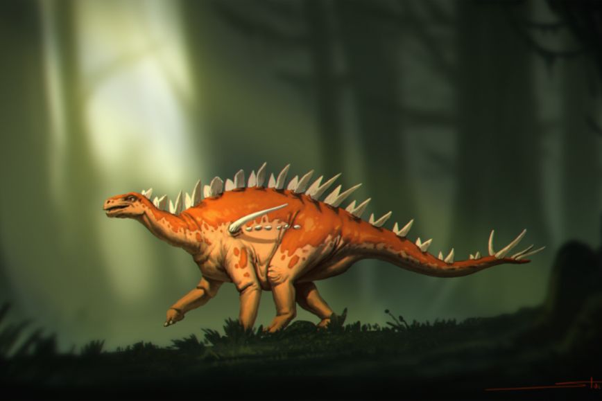 Ο τρομερός Μπασανόσαυρος: Νέο είδος δεινόσαυρου στεγόσαυρου ανακαλύφθηκε στην Κίνα