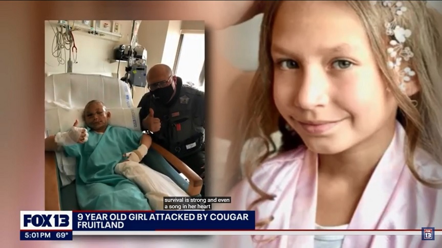 ΗΠΑ: Εννιάχρονο κορίτσι δέχτηκε άγρια επίθεση από πούμα ενώ έκανε κάμπινγκ με τους γονείς του