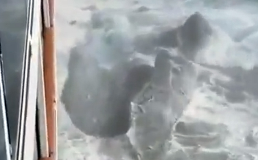 Κρουαζιερόπλοιο συγκρούστηκε με παγόβουνο στην Αλάσκα – Δείτε βίντεο