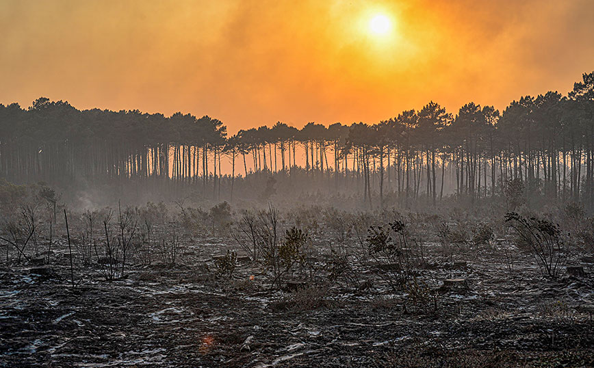 Καταστροφικές φωτιές σαρώνουν την Νότια Ευρώπη &#8211; Σφοδρός καύσωνας σε Βρετανία, Ισπανία και Γαλλία