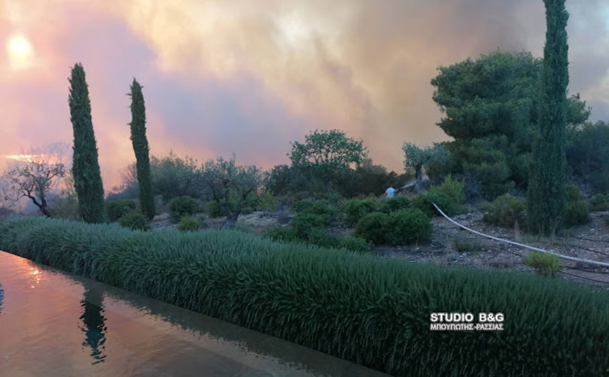 Πυρκαγιά στην Αργολίδα Πυρκαγιά στην Αργολίδα