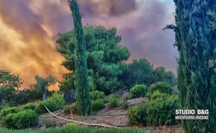 Πυρκαγιά στην Αργολίδα Πυρκαγιά στην Αργολίδα