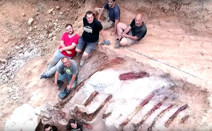 Ο μεγαλύτερος δεινόσαυρος στην Ευρώπη βρέθηκε στην πίσω αυλή ενός σπιτιού στο Πομπάλ της Πορτογαλίας