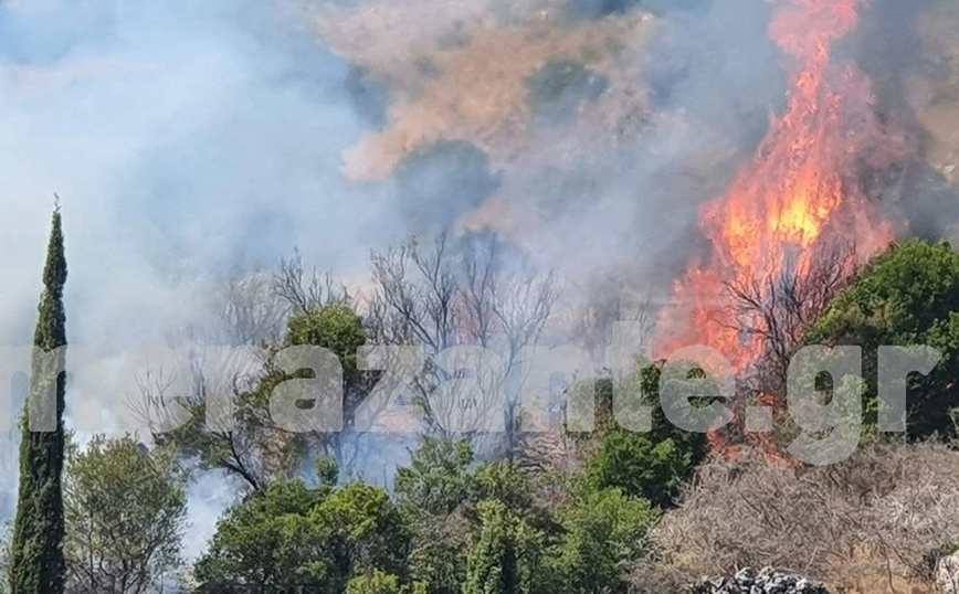 Μεγάλη φωτιά στη Ζάκυνθο: Μήνυμα εκκένωσης από το 112 για τον οικισμό Μεγάλα Αλώνια