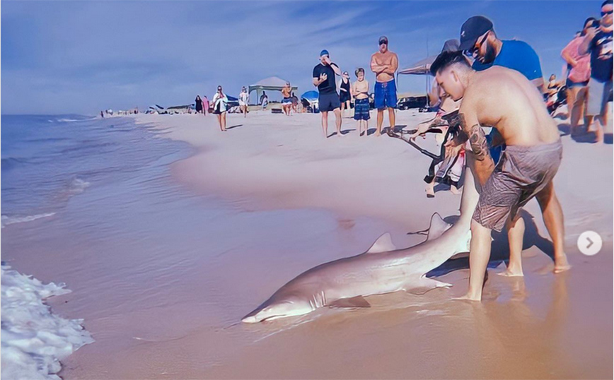 Νεαρός «παλεύει» με καρχαρία σε ακτή της Νέας Υόρκης – Πιάστηκε κατά λάθος σε αγκίστρι
