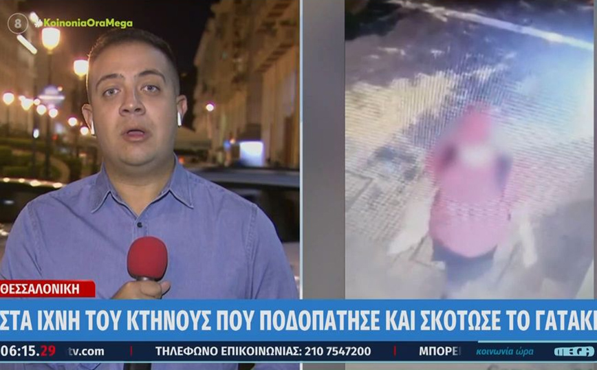 Θεσσαλονίκη: Θέμα ωρών η σύλληψη του άντρα που σκότωσε το γατάκι