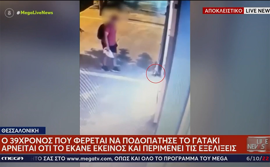 Θεσσαλονίκη: «Δεν εμπλέκομαι σε κάτι τέτοιο», λέει ο άντρας που κατηγορείται ότι ποδοπάτησε το γατάκι μέχρι θανάτου