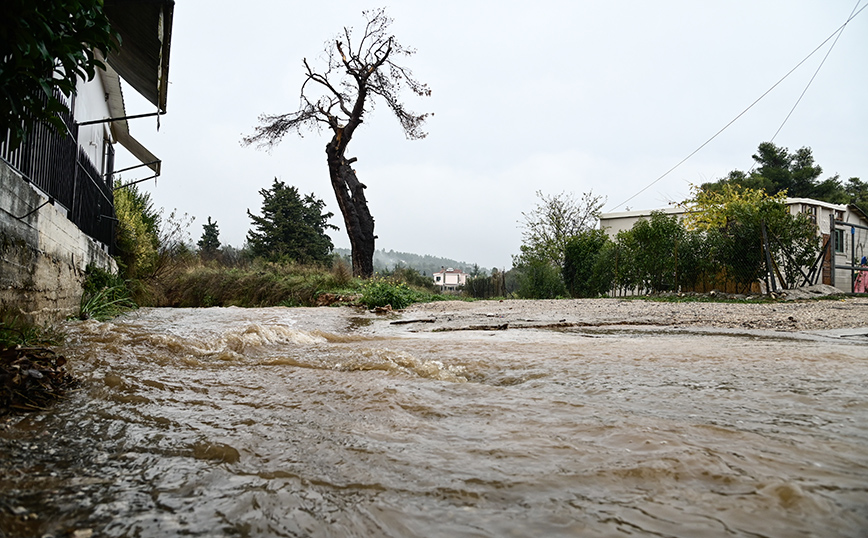 Κακοκαιρία Άριελ &#8211; Σκόπελος: Καταστράφηκε το αγροτικό δίκτυο, πλημμύρισαν σπίτια, κλειστά σήμερα τα σχολεία
