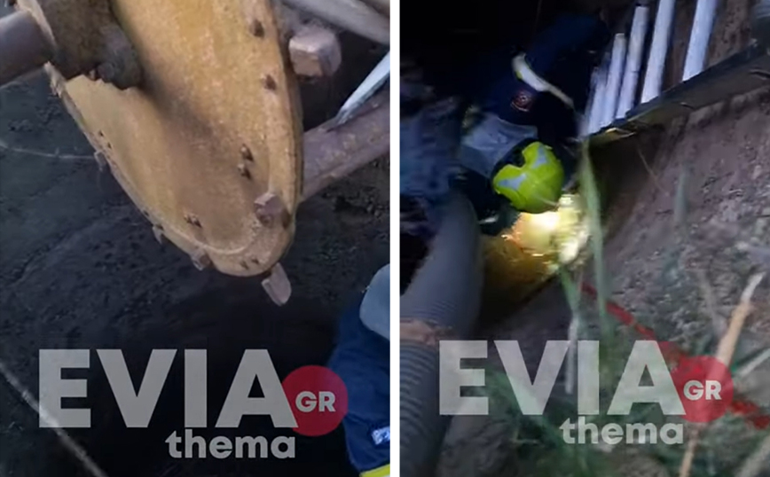 Εύβοια: Βίντεο με διάσωση σκύλου που έπεσε και εγκλωβίστηκε σε πηγάδι