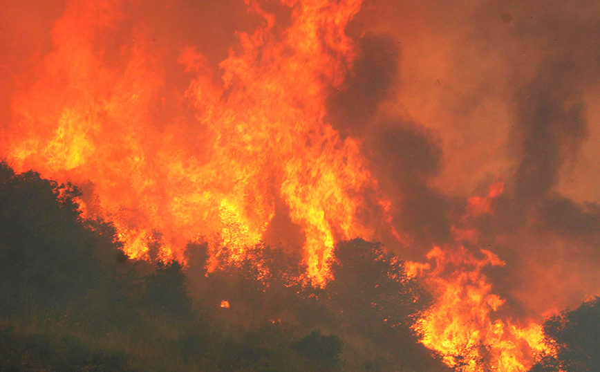 Οι 10 πιο ακραίες δασικές πυρκαγιές στην Ελλάδα τα τελευταία 20 χρόνια – Έγιναν στάχτη 2.800.000 στρέμματα