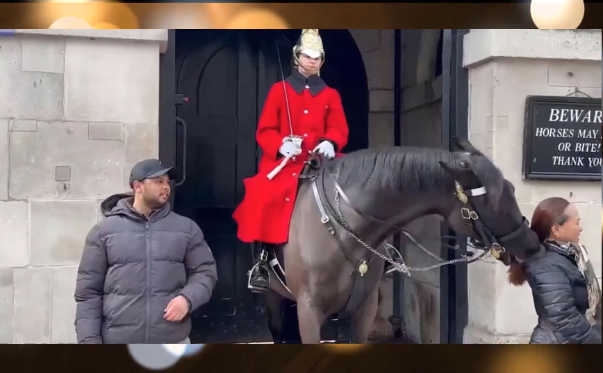 Άλογο της βασιλικής φρουράς της Βρετανίας&#8230; δάγκωσε την κοτσίδα τουρίστριας 