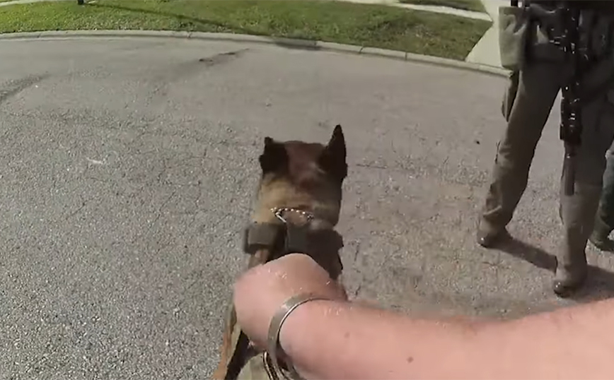 Πυροβόλησαν άντρα που παραλίγο να μαχαιρώσει σκυλί της Αστυνομίας &#8211; «Μην τον αφήσετε!» &#8211; Δείτε βίντεο