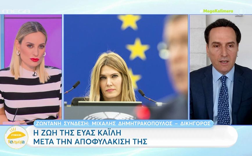 Δημητρακόπουλος για Καϊλή: «Θα προσφύγουμε στο Ευρωκοινοβούλιο για την παραβίαση της άρσης της ασυλίας της»