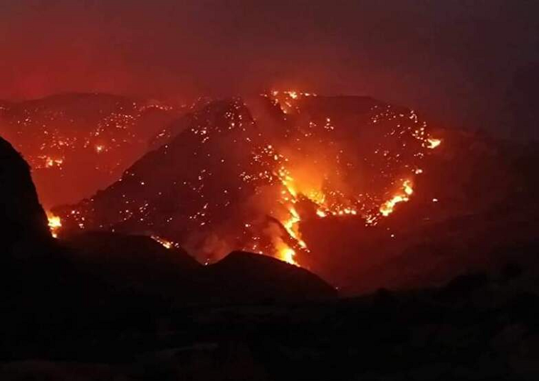 Φωτιά στο Αίγιο: Δύσκολη νύχτα με ισχυρούς ανέμους &#8211; Κάτοικοι παλεύουν μαζί με τους πυροσβέστες