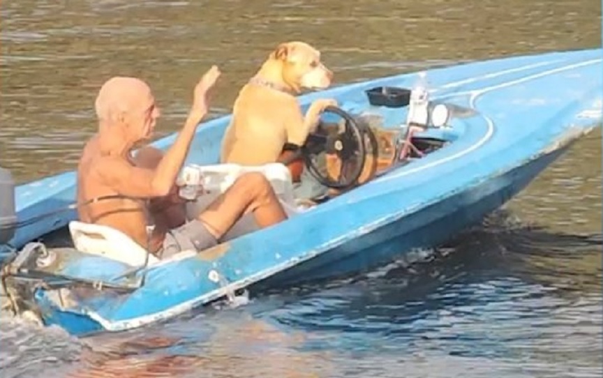 Φλόριντα: Σκύλος «καπετάνιος» πήγε βόλτα τον κηδεμόνα του με σκάφος, ενώ εκείνος έπινε μπίρα αραχτός