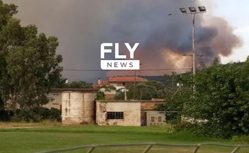 Φωτιά στη Σπάρτη: Οι φλόγες έφτασαν 500 μέτρα μακριά από σπίτια στο χωριό Λυκοβουνό
