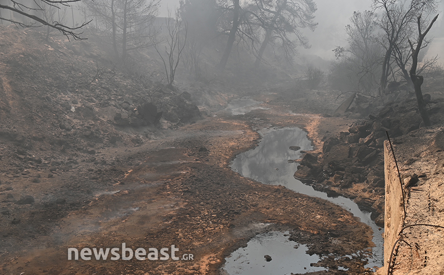 Απόκοσμες εικόνες μετά το πέρασμα της φωτιάς: Η κάμερα του Newsbeast καταγράφει τη διαδρομή στην επαρχιακή οδό Οινόης &#8211; Μαγούλας