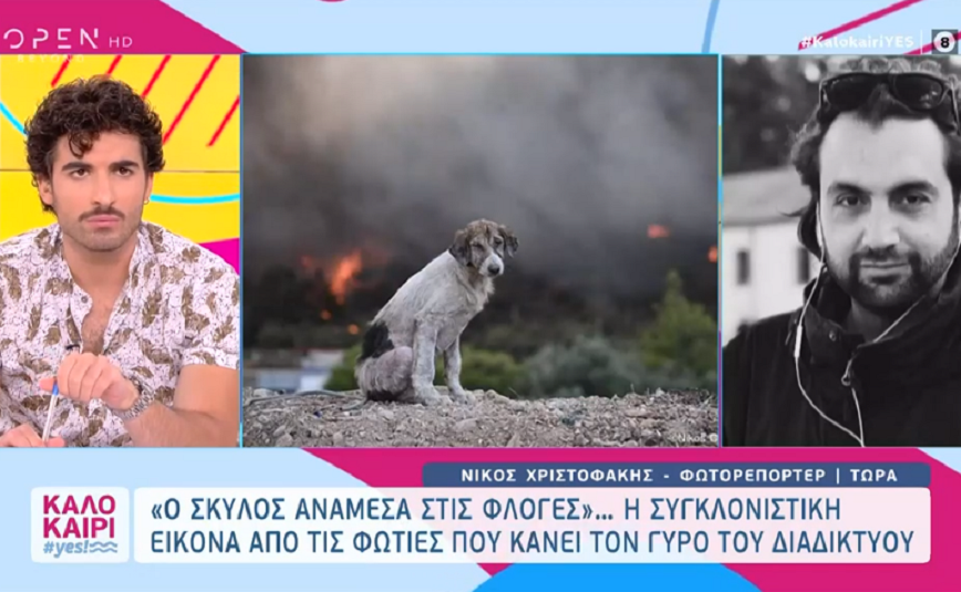 Η viral φωτογραφία με τον θλιμμένο σκύλο στη φωτιά της Μαγούλας