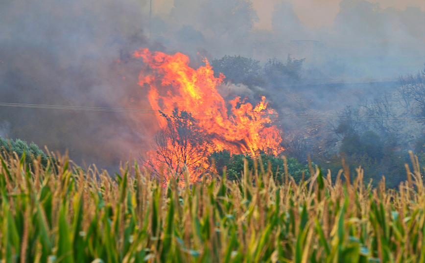 Οι συνεχείς αναζωπυρώσεις δυσχεραίνουν την κατάσβεση της φωτιάς στο Νέστο