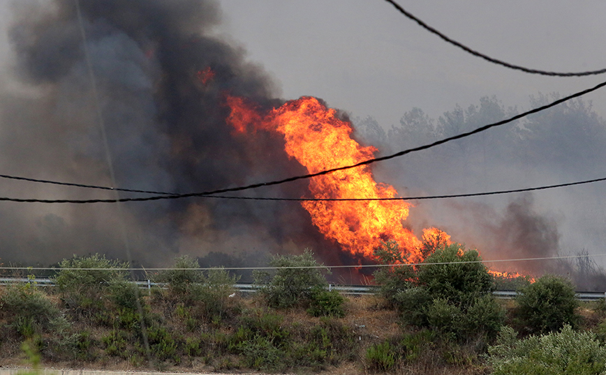 Νέο μήνυμα του 112 για τη φωτιά στη Ροδόπη &#8211; Εκκενώνονται τέσσερις οικισμοί