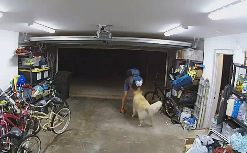 Μπήκε σε γκαράζ να κλέψει ποδήλατο και δέχτηκε «επίθεση αγάπης» από τον σκύλο της οικογένειας