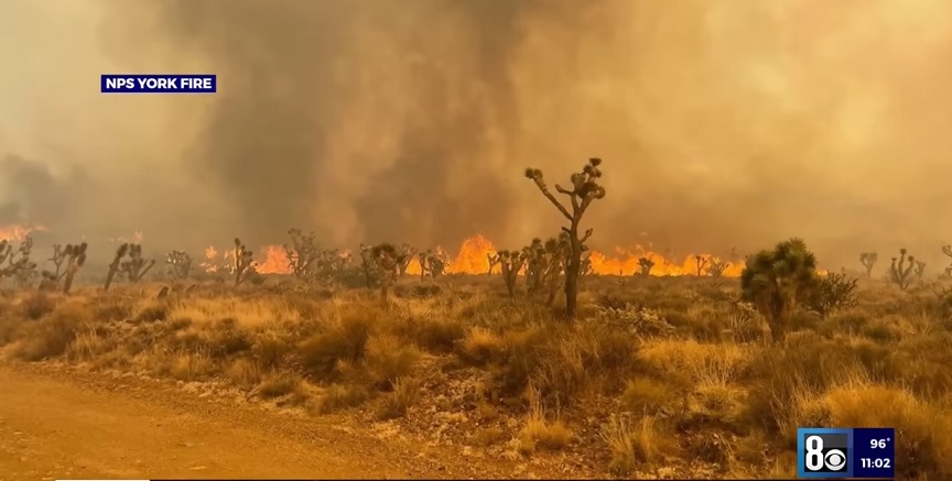 Φλόγες ως τα έξι μέτρα και πύρινοι στρόβιλοι στην έρημο Μοχάβι &#8211; Μπορούν να δημιουργήσουν νέες εστίες σε μεγάλη απόσταση