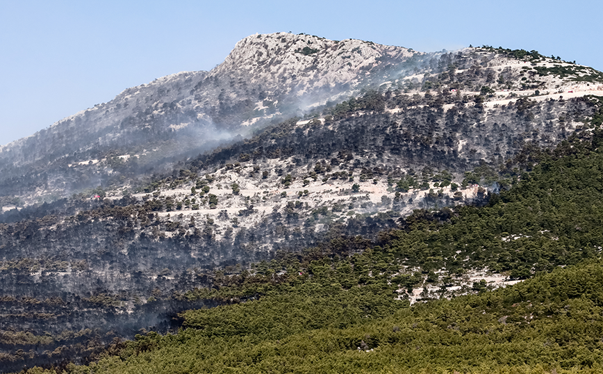 Βελτιωμένη η εικόνα της φωτιάς στην Πάρνηθα &#8211; Διαχειρίσιμες οι διάσπαρτες εστίες στη Βοιωτία