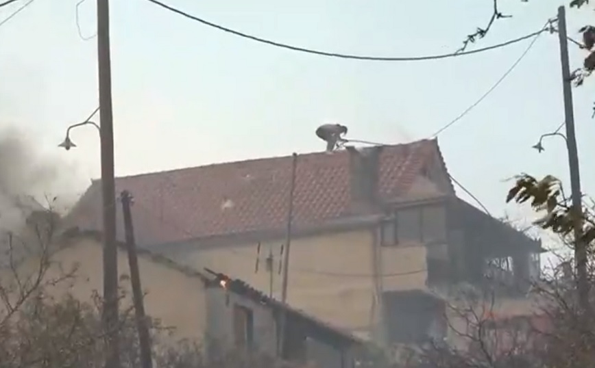 Καίγονται σπίτια στη Χασιά – Πολίτης σκαρφαλωμένος στα κεραμίδια προσπαθούσε με μάνικα να σώσει το δικό του