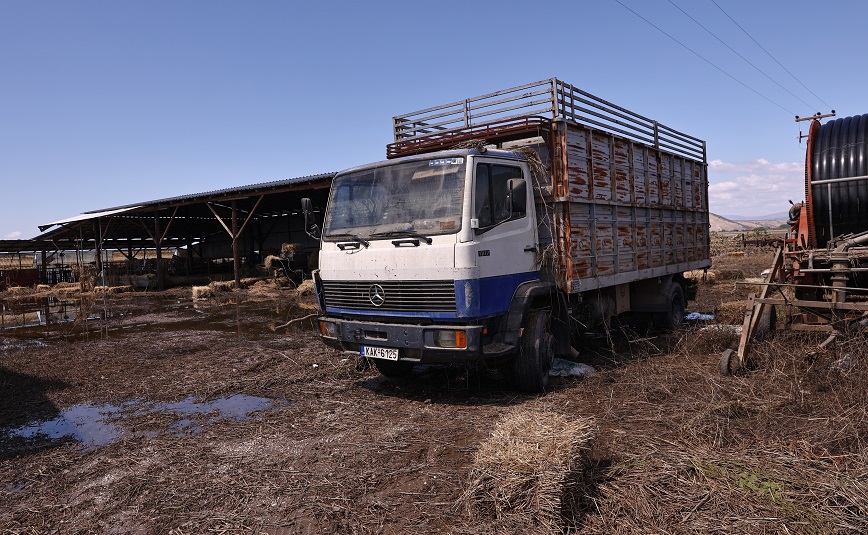 Απεγνωσμένοι οι κτηνοτρόφοι με τα νεκρά ζώα από τις πλημμύρες &#8211; «Είχε 470 και τού έμειναν μόνο τρεις»