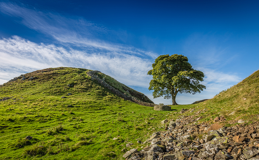 Έκοψαν το διάσημο δέντρο της Βρετανίας Sycamore Gap: «Πράξη βλακώδους βανδαλισμού»